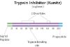 图片 胰蛋白酶抑制剂来源于大豆，Trypsin inhibitor from Glycine max (soybean) [SBTI]；BioUltra, lyophilized powder, ≥95% (Kunitz inhibitor, SDS-PAGE)