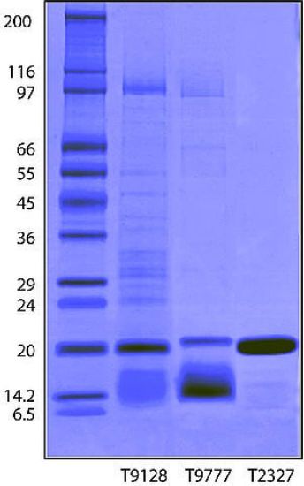 图片 胰蛋白酶抑制剂来源于大豆，Trypsin inhibitor from Glycine max (soybean) [SBTI]；BioUltra, lyophilized powder, ≥95% (Kunitz inhibitor, SDS-PAGE)