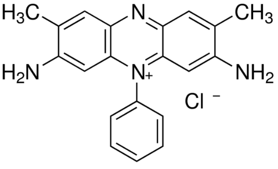 图片 藏红O [番红O, 臧红]，Safranin O；indicator (pH 0.3-1.0), for microscopy (Bact., Bot., Hist.)