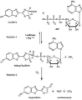 图片 D-荧光素，D-Luciferin；synthetic, BioXtra, ≥99% (HPLC)