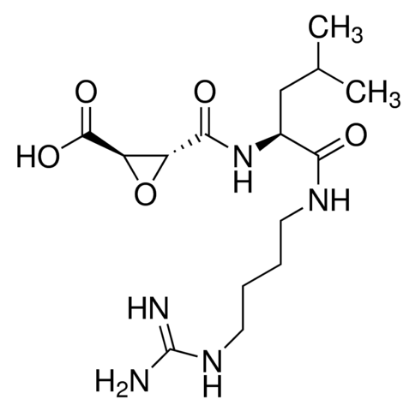 图片 E64蛋白酶抑制剂，N-[N-(L-3-Trans-carboxirane-2-carbonyl)-L-leucyl]-agmatine [E-64 protease inhibitor]；≥95.0%