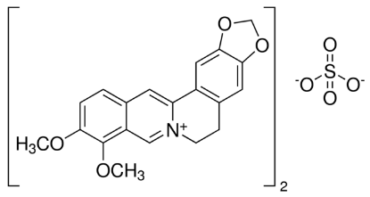 图片 小檗碱半硫酸盐 [硫酸小檗碱]，Berberine hemisulfate salt；≥95%