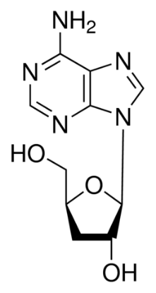 图片 虫草素，Cordycepin；from Cordyceps militaris, ≥98.0%