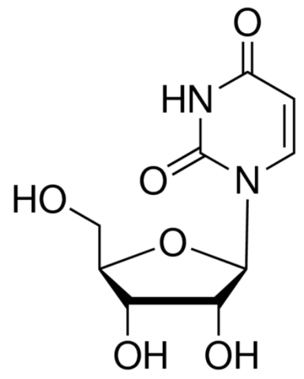 图片 尿嘧啶核苷[尿苷, 尿核甙]，Uridine；powder, BioReagent, suitable for cell culture, ≥99%