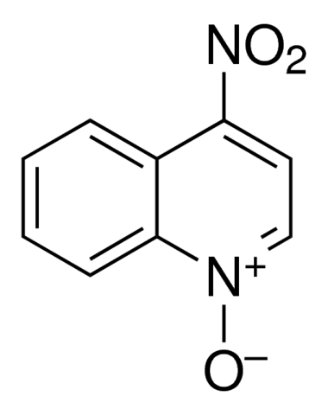 图片 4-硝基喹啉-N-氧化物，4-Nitroquinoline N-oxide [4-NQO]；≥98%