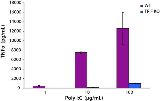 图片 聚肌苷酸-聚胞苷酸钠盐，Polyinosinic–polycytidylic acid sodium salt；TLR ligand tested, ≥99%