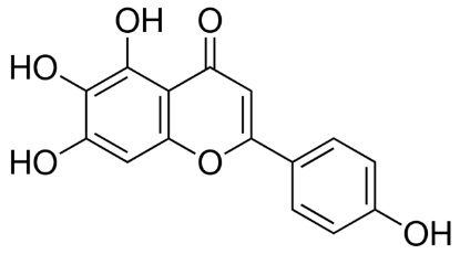 图片 高黄芩素，Scutellarein；≥98% (HPLC)