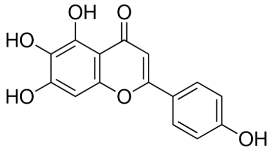 图片 高黄芩素，Scutellarein；≥98% (HPLC)