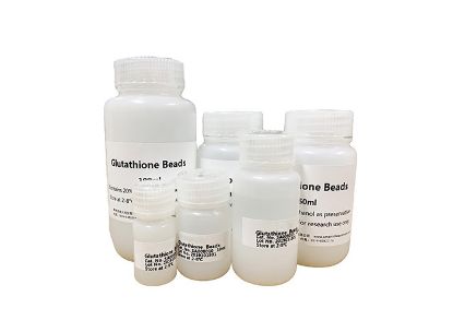 图片 GST标签亲和纯化填料 [谷胱甘肽琼脂糖凝胶]，Glutathione Beads