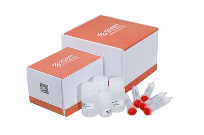 图片 重组蛋白A亲和琼脂糖凝胶纯化试剂盒，AbPur rProtein A Kit