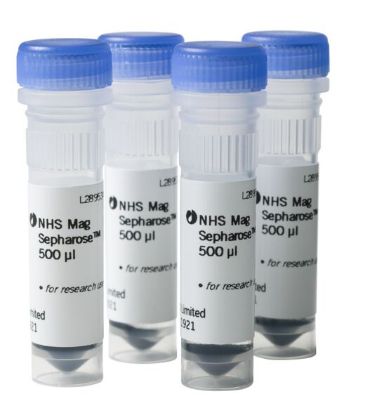 图片 NHS活化的富集蛋白琼脂糖凝胶，NHS Mag Sepharose