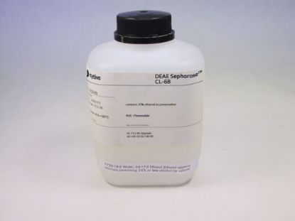 图片 DEAE琼脂糖凝胶CL6B，DEAE Sepharose CL-6B