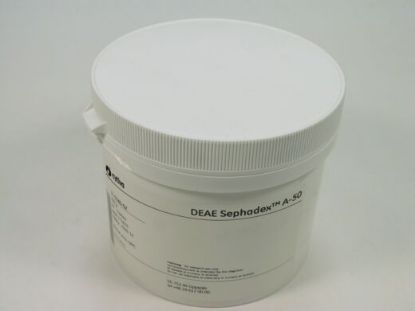 图片 DEAE葡聚糖凝胶A50，DEAE Sephadex A-50