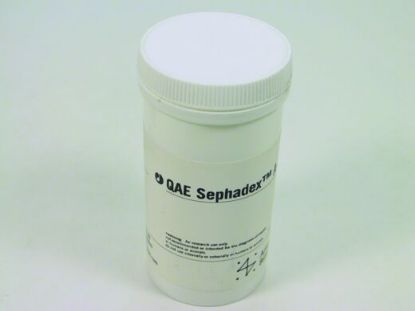 图片 QAE葡聚糖凝胶A25，QAE Sephadex A-25