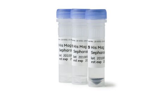 图片 组氨酸标签蛋白纯化琼脂糖凝胶-Ni，His Mag Sepharose Ni