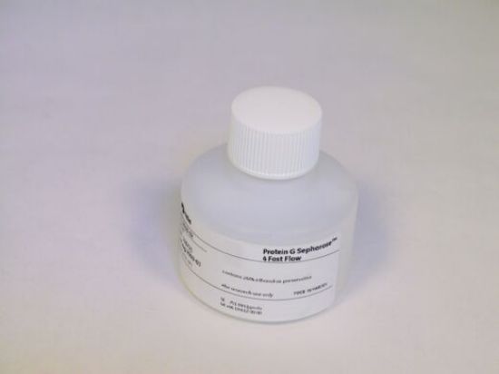 图片 蛋白G琼脂糖凝胶4FF，Protein G Sepharose 4 Fast Flow resin