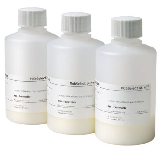 图片 MabSelect Xtra抗体纯化层析填料，MabSelect Xtra antibody purification chromatography resin