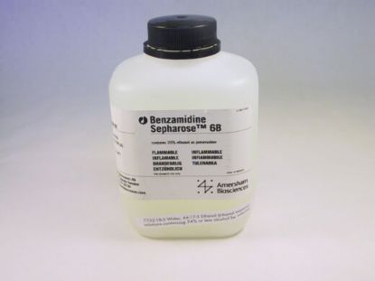 图片 苯甲脒琼脂糖凝胶6B，BENZAMIDINE SEPHAROSE 6B