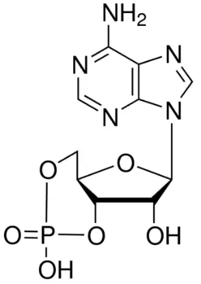 图片 腺苷-3′,5′-环单磷酸，Adenosine 3′,5′-cyclic monophosphate [cAMP]；≥98.5% (HPLC), powder