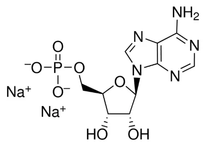 图片 腺苷 5'-单磷酸二钠盐，Adenosine 5′-monophosphate disodium salt [5′-AMP-Na2]；≥99.0% (HPLC)