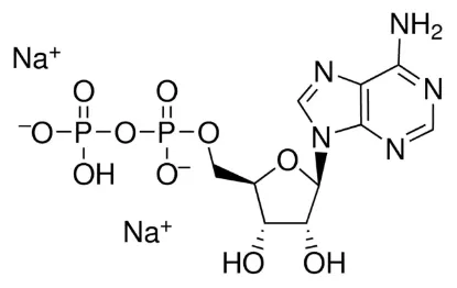 图片 腺苷-5'-二磷酸二钠盐，Adenosine 5′-diphosphate disodium salt [5′-ADP-Na2]；≥90%
