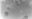 图片 ESGRO重组小鼠LIF蛋白 [白血病抑制因子]，ESGRO® Recombinant Mouse LIF Protein [Murine LIF, Mouse LIF, mLIF]；>95% (active component mLIF, SDS-PAGE)