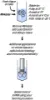 图片 细胞/组织RNA保存试剂，RNAlater®；Stabilize and protect RNA with immediate RNase inactivation