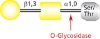 图片 O-糖苷酶来源于肺炎链球菌，O-Glycosidase from Streptococcus pneumoniae；recombinant, expressed in E. coli, buffered aqueous solution