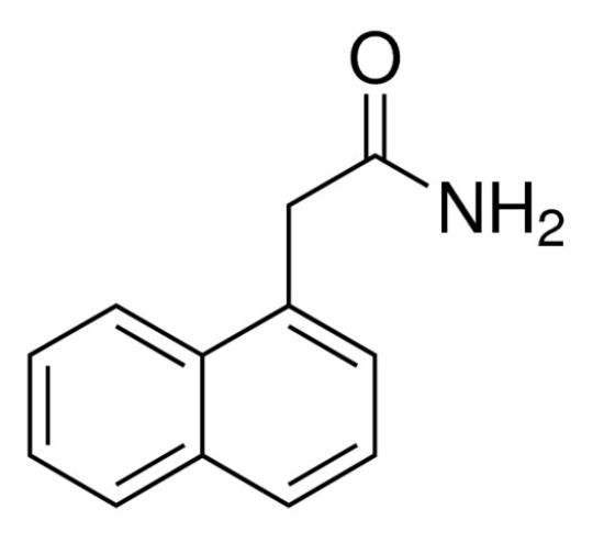 图片 1-萘乙酰胺，1-Naphthylacetamide；≥98.0%
