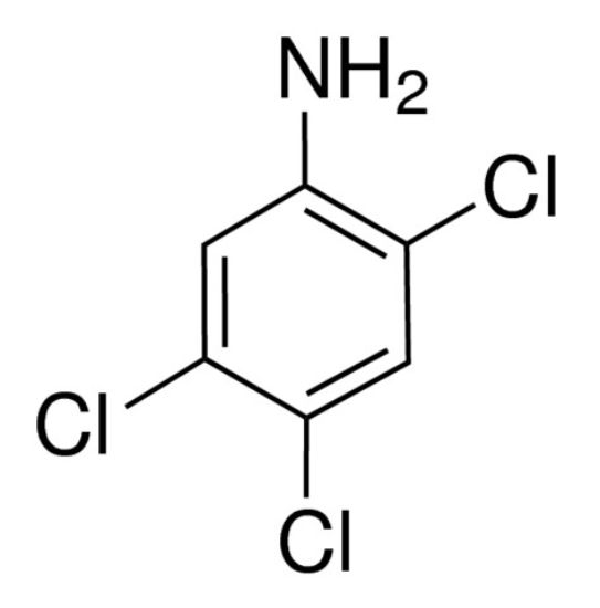 图片 2,4,5-三氯苯胺，2,4,5-Trichloroaniline；95%