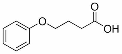图片 4-苯氧基丁酸，4-Phenoxybutanoic Acid