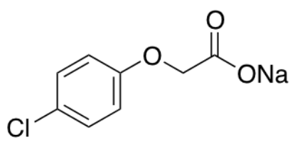 图片 对氯苯氧乙酸钠，Sodium 4-chlorophenoxyacetate