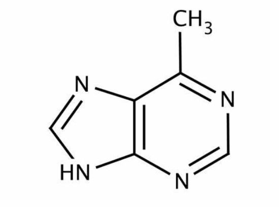 图片 6-甲基嘌呤，6-Methylpurine [MeP]；≥99%