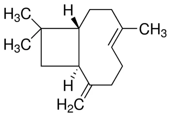 图片 β-石竹烯 [β-丁香烯]，β-Caryophyllene；≥92.0%