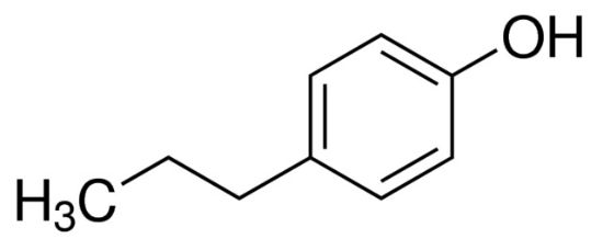 图片 4-正丙基苯酚，4-Propylphenol；99%