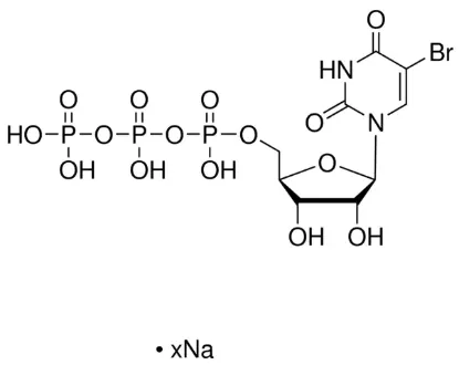 图片 5-溴尿嘧啶核苷-5′-三磷酸盐钠盐，5-Bromouridine 5′-triphosphate sodium salt [5-BrUTP]；≥93%