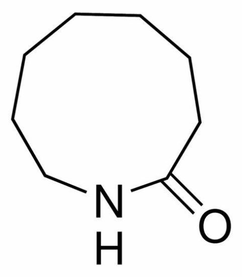 图片 ω-辛内酰胺，ω-Octalactamω；≥99.0%(GC)