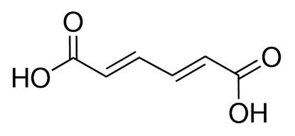 图片 反,反-粘康酸，trans,trans-Muconic acid；98%