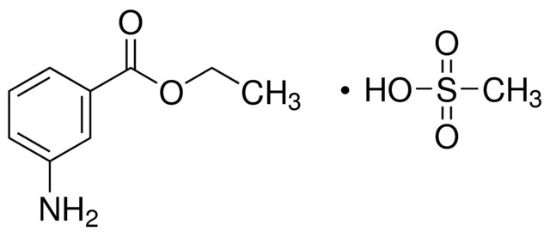 图片 3-氨基苯甲酸乙酯甲磺酸盐 [三卡因]，Ethyl 3-aminobenzoate methanesulfonate；98%