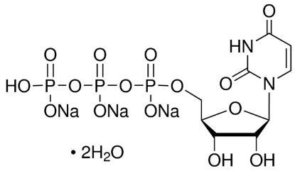 图片 尿苷-5′-三磷酸酯三钠盐二水合物，Uridine 5′-triphosphate trisodium salt dihydrate [UTP]；≥80%