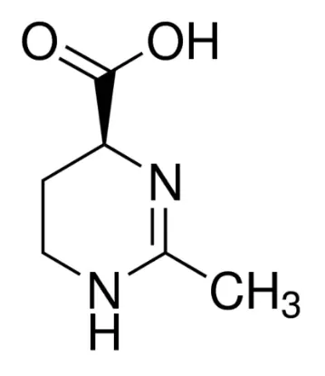 图片 四氢嘧啶，Ectoine [Thp(B)]；primary reference standard