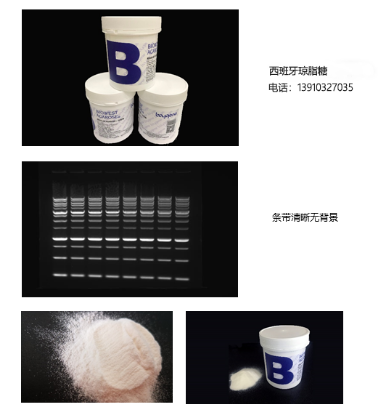 图片 西班牙琼脂糖，Spain agarose；BIOWEST, Regular Agarose G-10, 100 gram per bottle