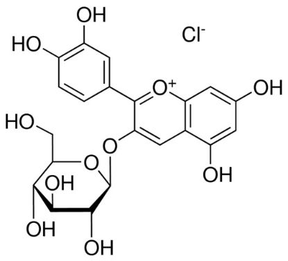 图片 矢车菊素-3-O-葡萄糖苷 [氯化苦马豆素]，Kuromanin chloride；analytical standard, ≥98.0% (HPLC)