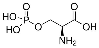 图片 O-磷酸-L-丝氨酸，O-Phospho-L-serine [L-SOP]；≥98%