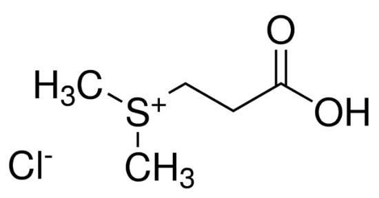 图片 (2-羧乙基)二甲基氯化锍，(2-Carboxyethyl)dimethylsulfonium chloride [DMSP]；≥98.0%