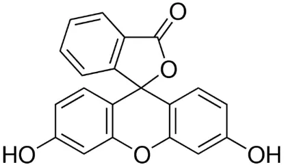 图片 荧光素，Fluorescein (free acid)；for fluorescence, free acid