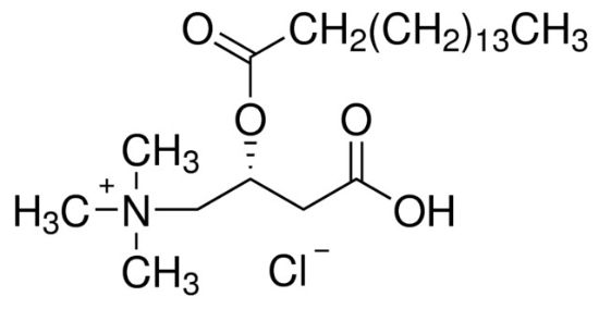 图片 棕榈酰-L-肉碱氯化物，Palmitoyl-L-carnitine chloride；≥98% (TLC), powder