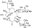 图片 加米霉素-d4，Gamithromycin-d4 (Major)