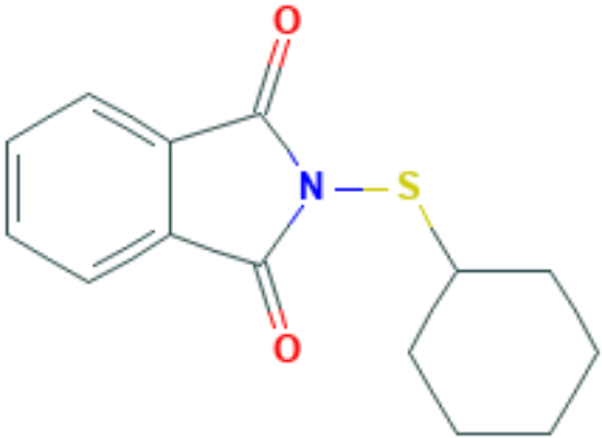 图片 N-(环己硫基)邻苯二甲酰亚胺，N-(Cyclohexylthio)phthalimide [CTP]；≥99.0%(N)