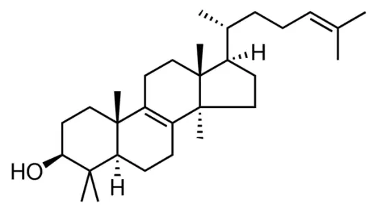 图片 羊毛甾醇，Lanosterol；≥93%, powder